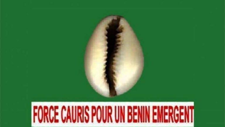 Bénin: démission d’un responsable FCBE à Adjohoun