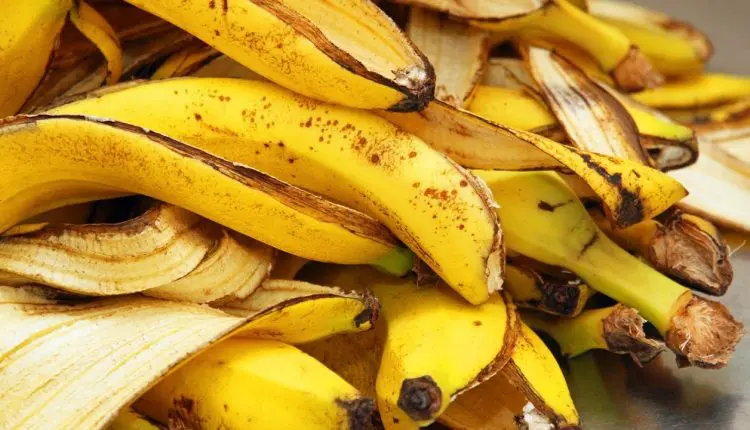 Astuces :12 utilisations insoupçonnées de la peau de banane