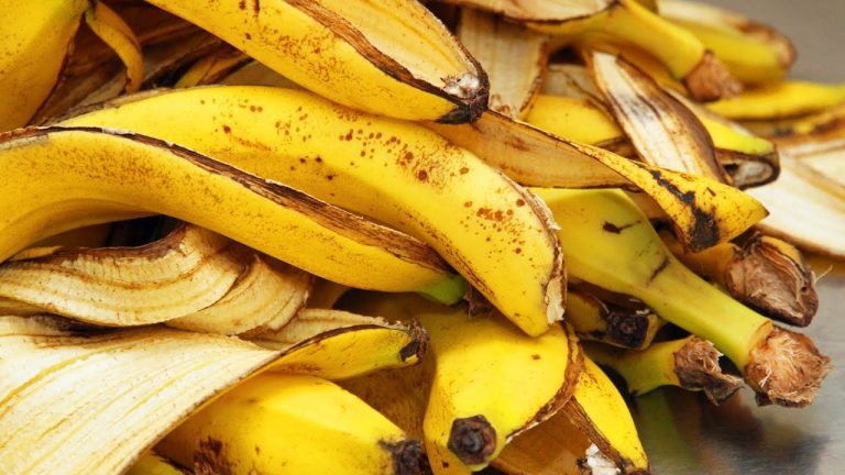 Astuces :12 utilisations insoupçonnées de la peau de banane
