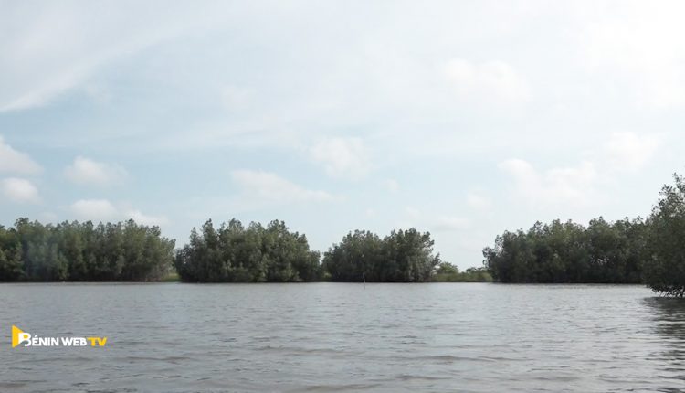 Dérivé du lac Ahémé à Gogotinkpon