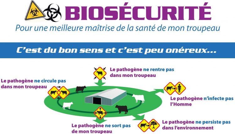 Bénin: le gouvernement se dote d’une législation pertinente en matière de biosécurité